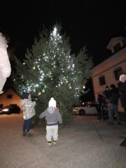 Mirna, prizig luck, foto EZ (7)